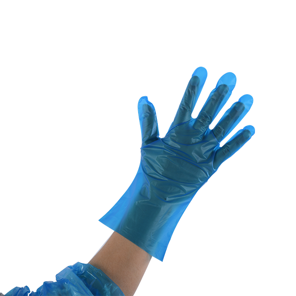 Disposable TPE Blue Gloves
